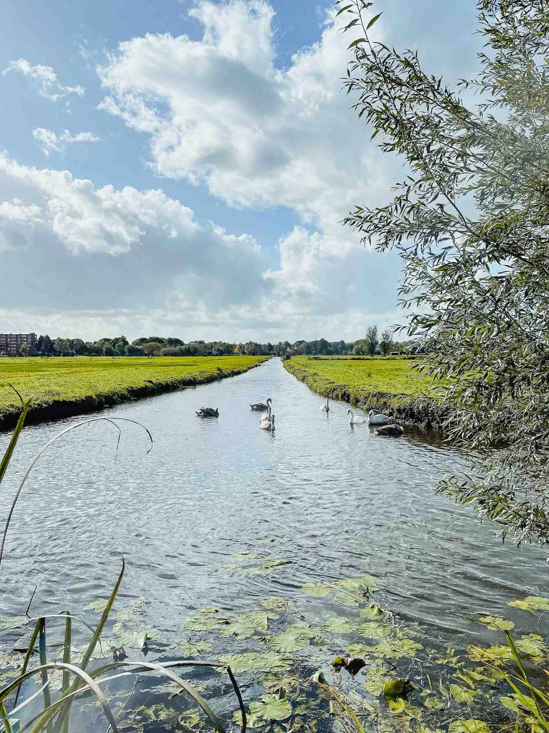 bezienswaardigheden rotterdam voor perfecte citytrip