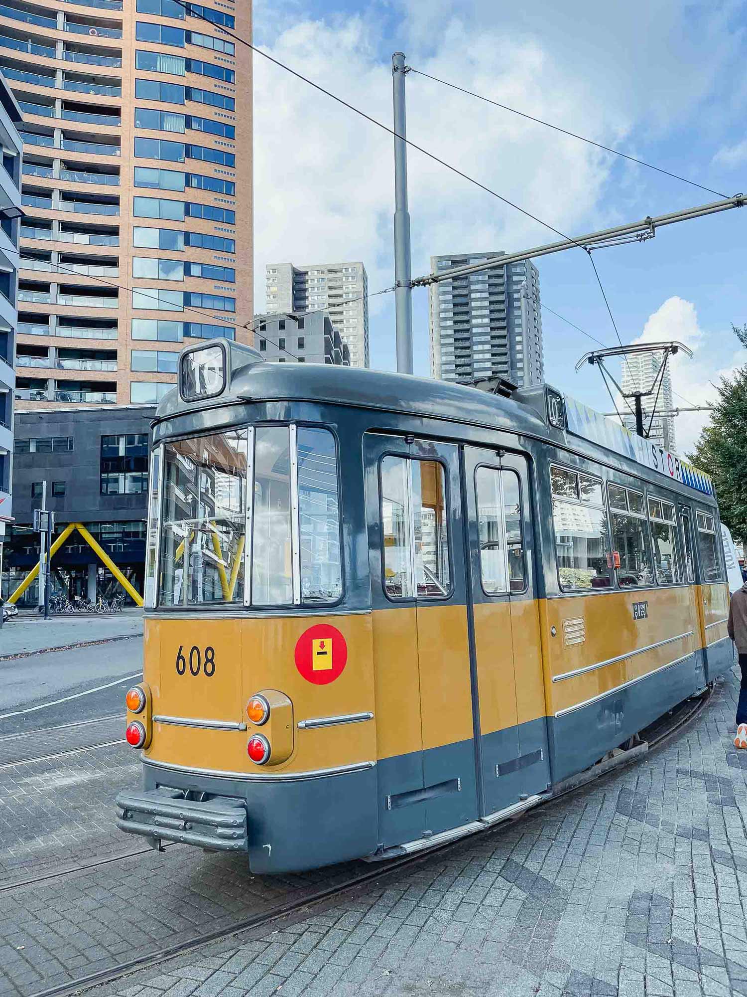 kinderdijk rotterdam met kinderen