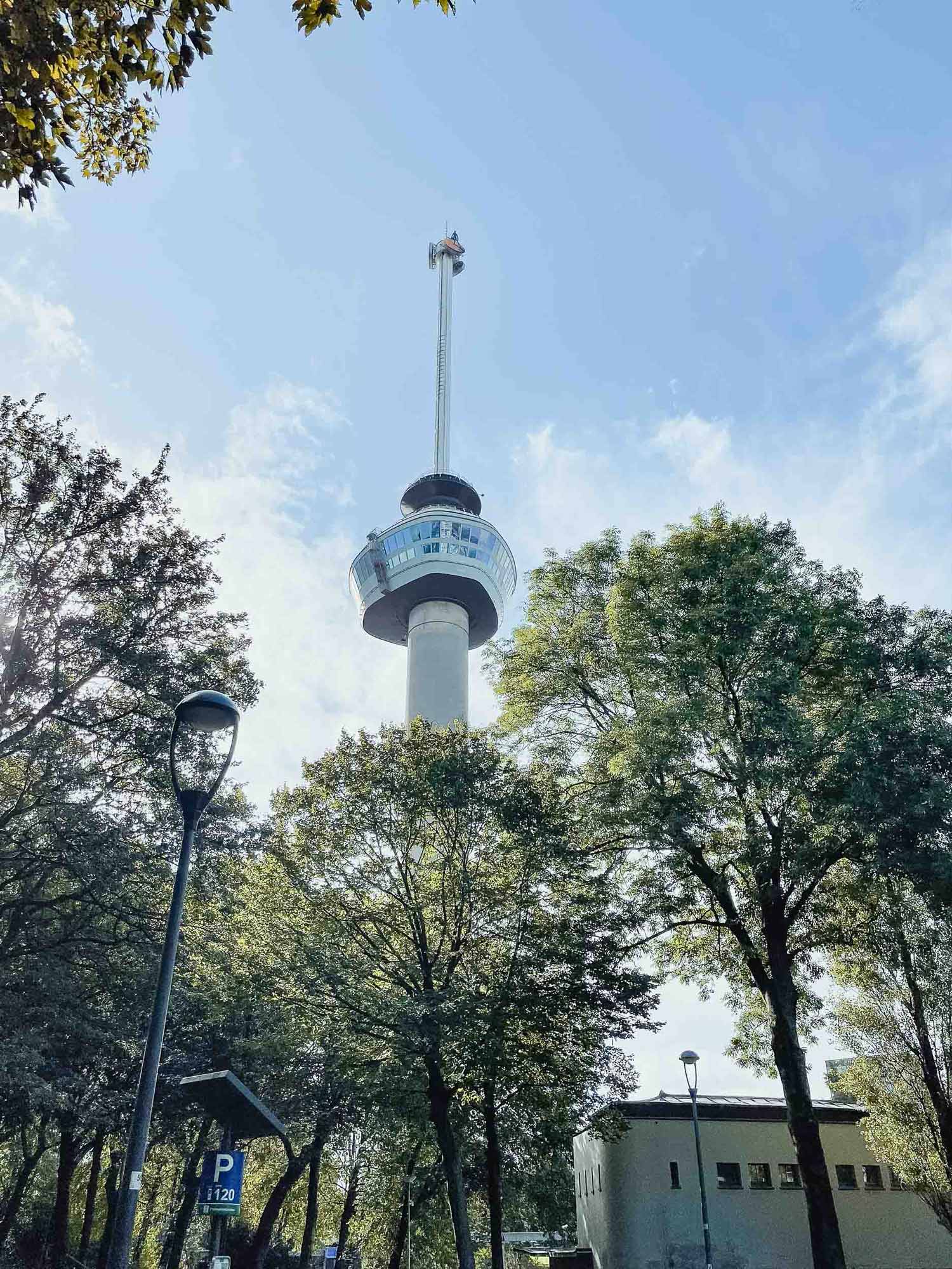 rotterdam citytrip met kinderen