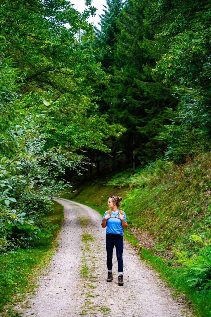 wandelen in het zwarte woud