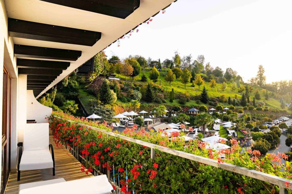 wandelen in het zwarte woud