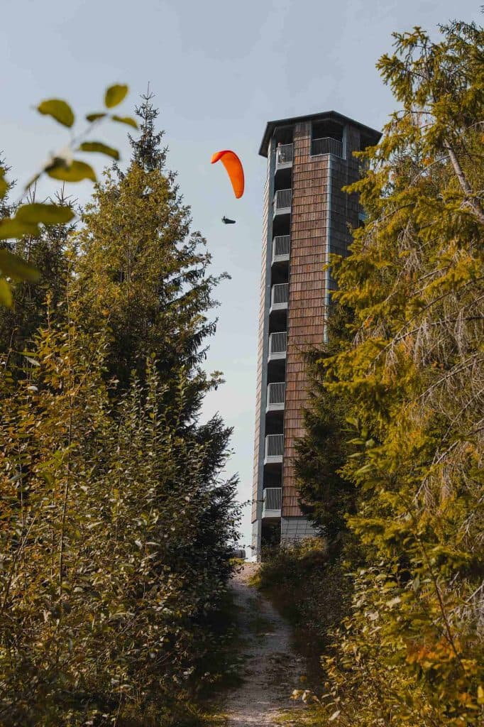 wandelen in het zwarte woud