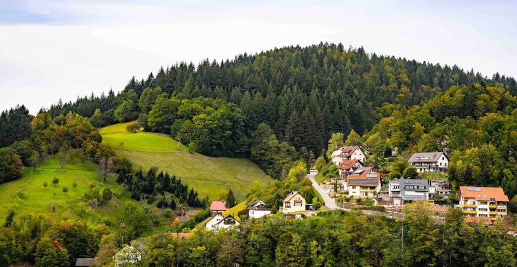 dollenberg wandelen in het zwarte woud