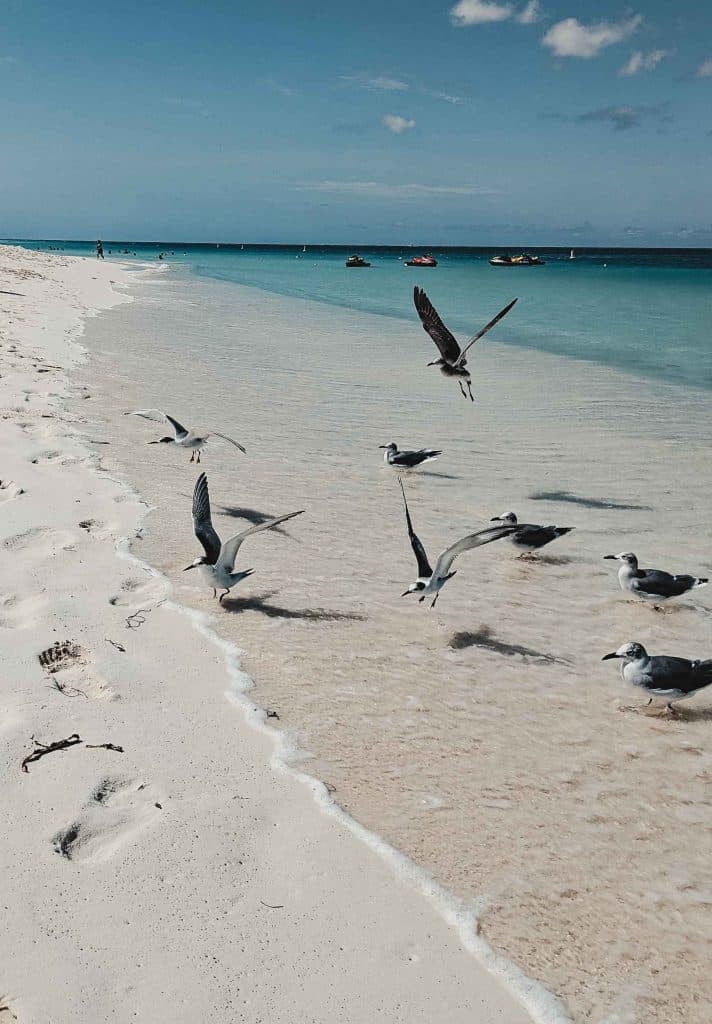 wat doen tijdens strandvakantie op aruba en reistips