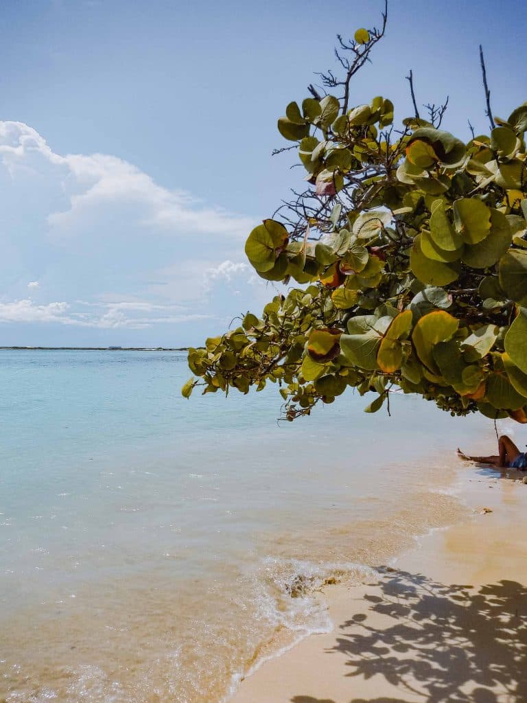 wat doen tijdens strandvakantie op aruba en reistips
