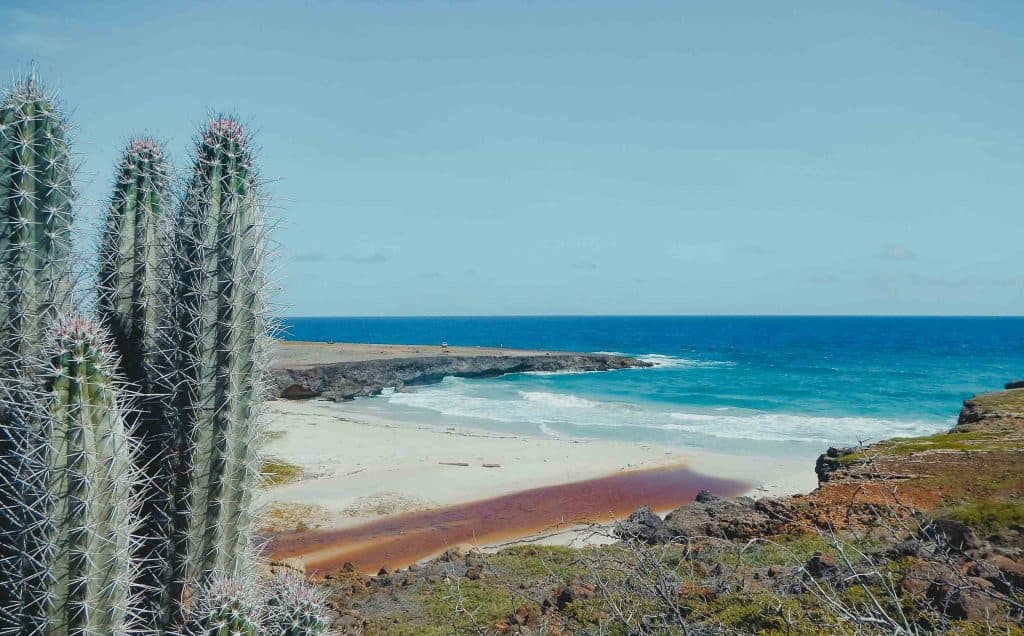 wat doen tijdens strandvakantie op aruba en reistips