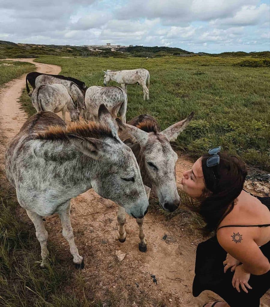 wat doen tijdens strandvakantie op aruba en reistips
