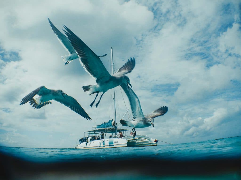 wat doen tijdens strandvakantie op aruba en reistips