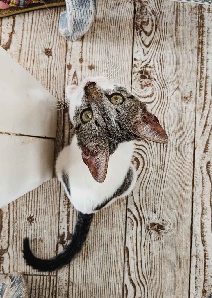 boottocht kaapverdie