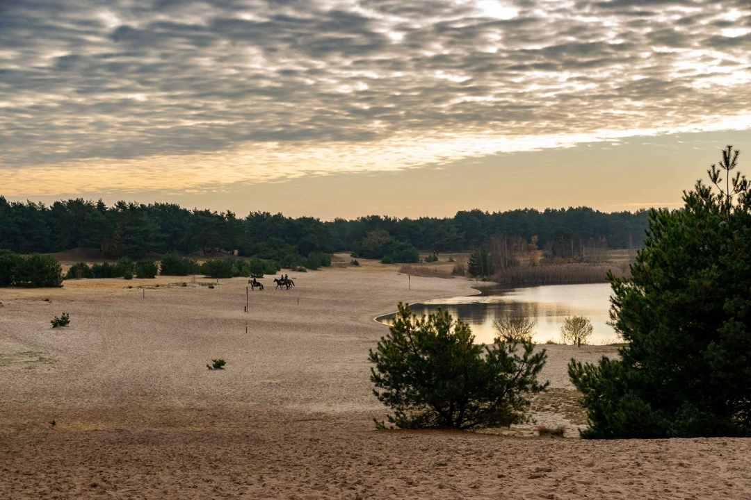 wandelen in vlaanderen lommelse sahara