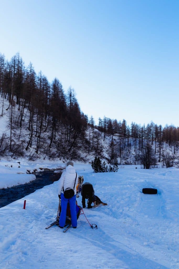 husyride hondenslee valle daoste