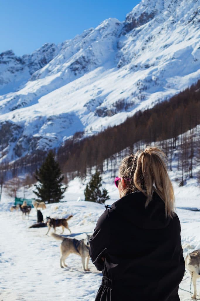 husyride hondenslee valle daoste