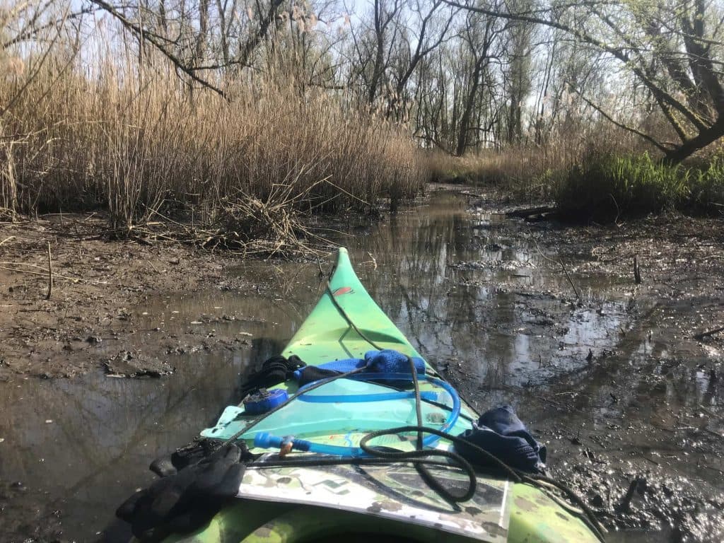 wildkamperen en kanovaren in nederland