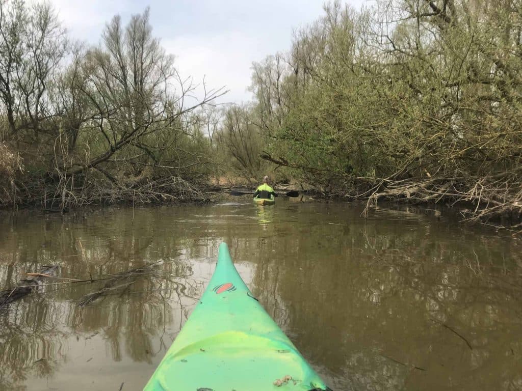 kanovaren in de biesbosch in nederland