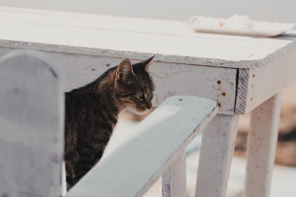 Gezinsvriendelijke vakantie in Imsouane Marokko
