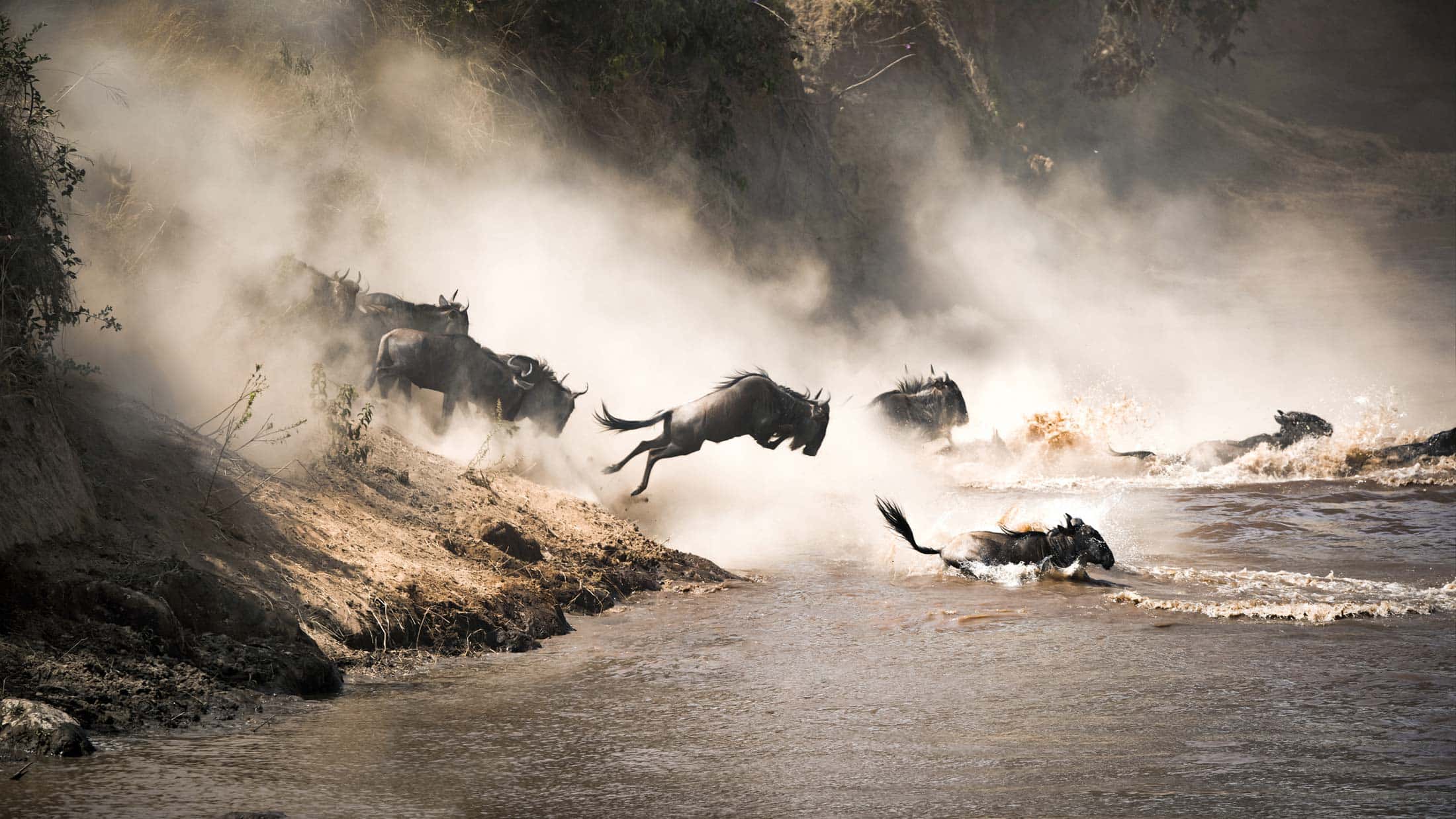 Tussen leeuwen en luipaarden: een gids voor Safari’s en Nationale parken in Kenia