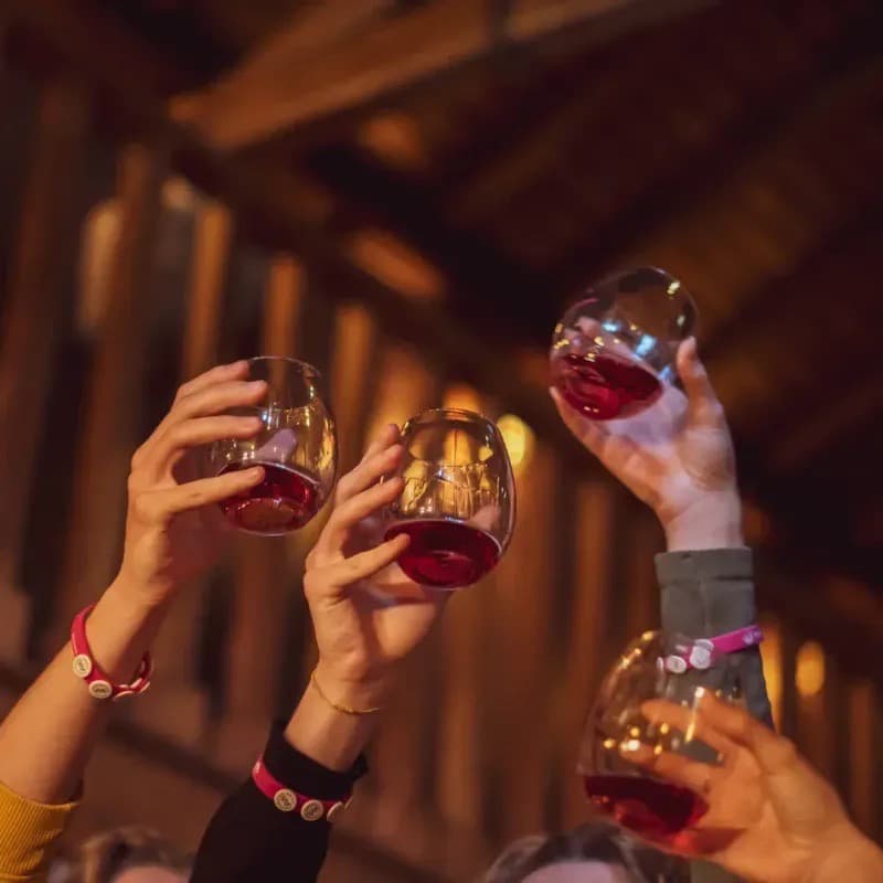 wat doen in WOW Porto