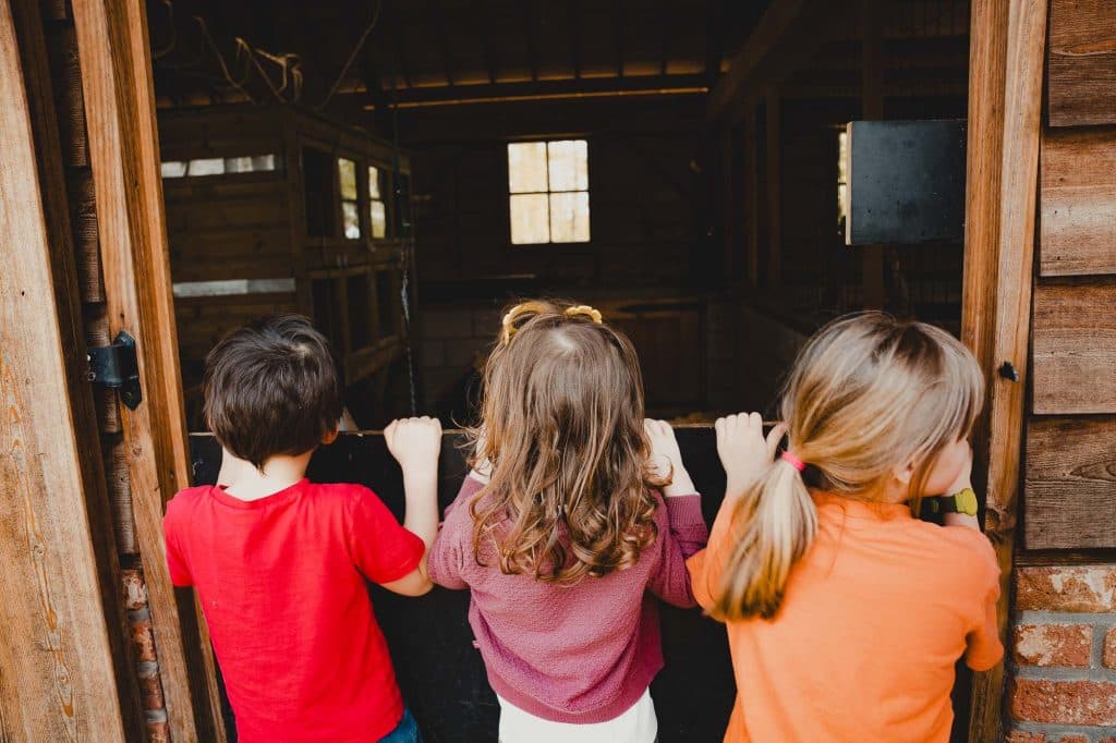 center parcs terhills resort