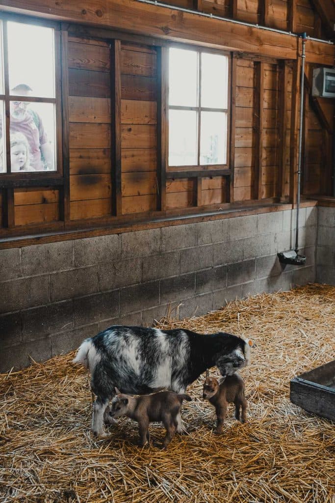 center parcs terhills resort