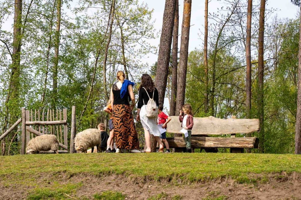 vakantiepark maasmechelen center parcs terhills resort