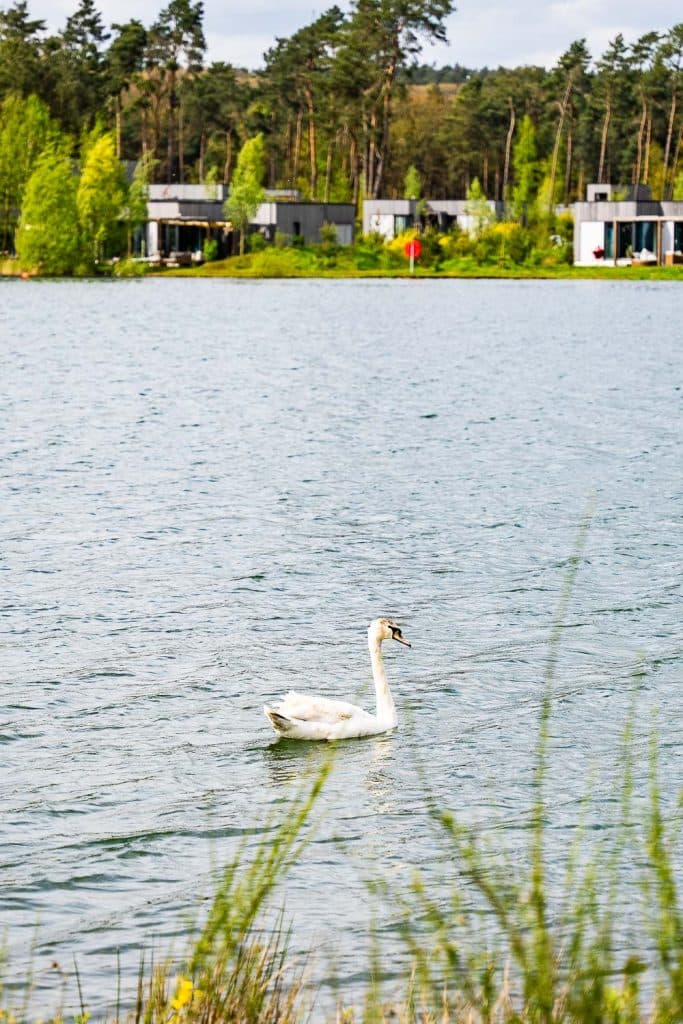 weekend weg met kinderen in vakantiepark Center Parcs Terhills resort in Limburg