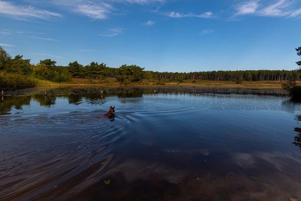 citytrip genk nationaal park hoge kempen