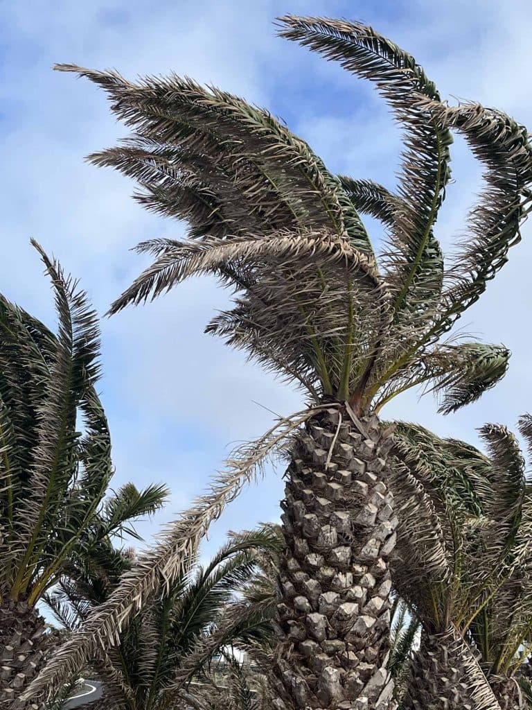 bikepack tocht granguance canarische eilanden lanzarote