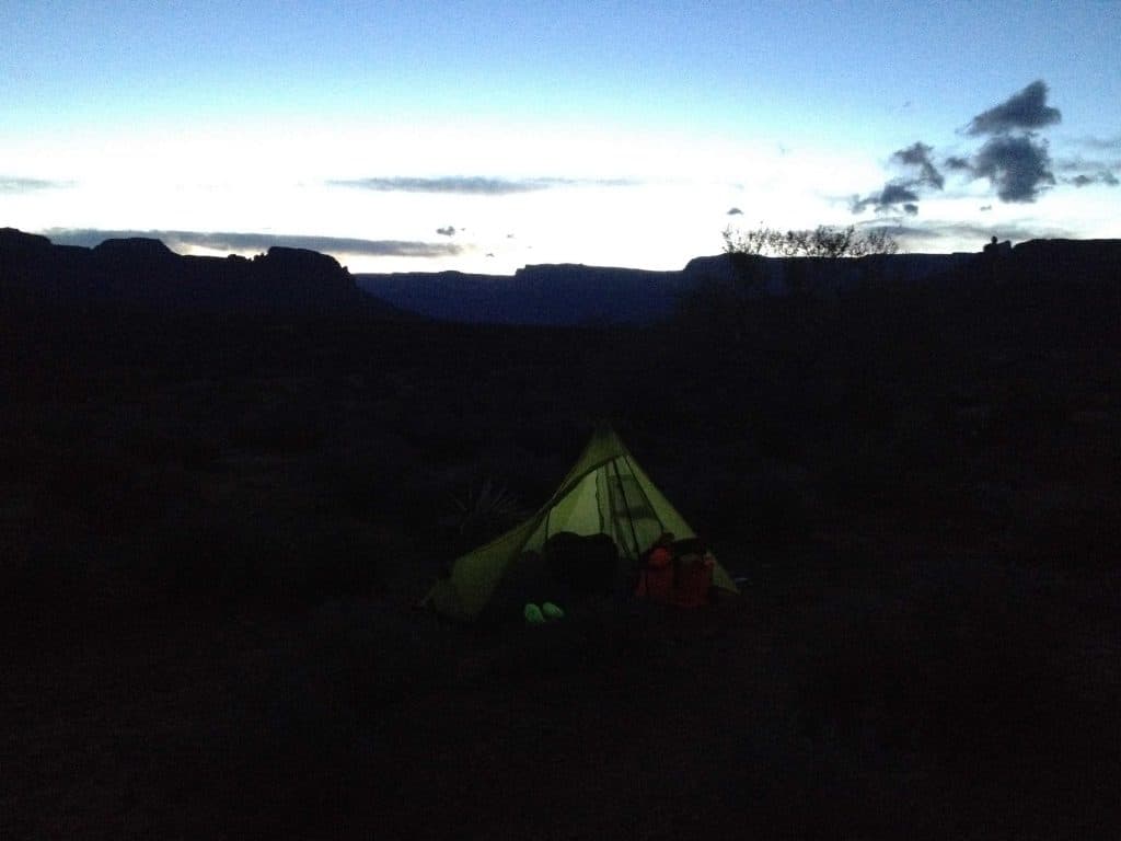 Coyotes en wilde ezels "verstoren" de stilte.