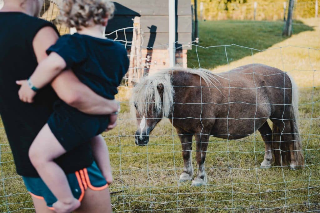 kindercampings in nederland kindvriendelijke top plaatsen voor de camper