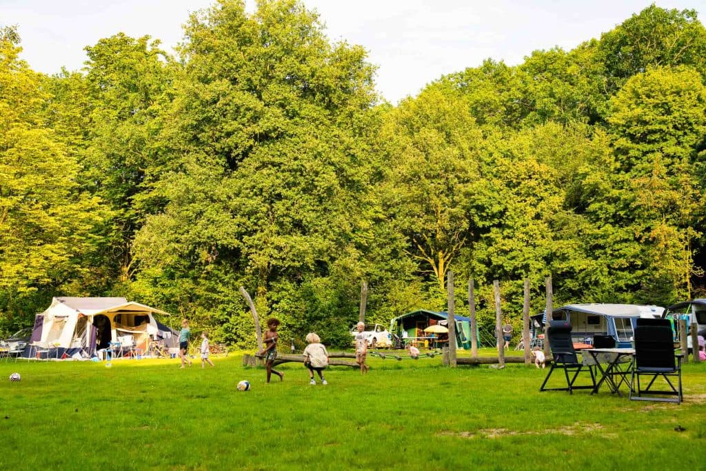 vakantiepark dierenbos