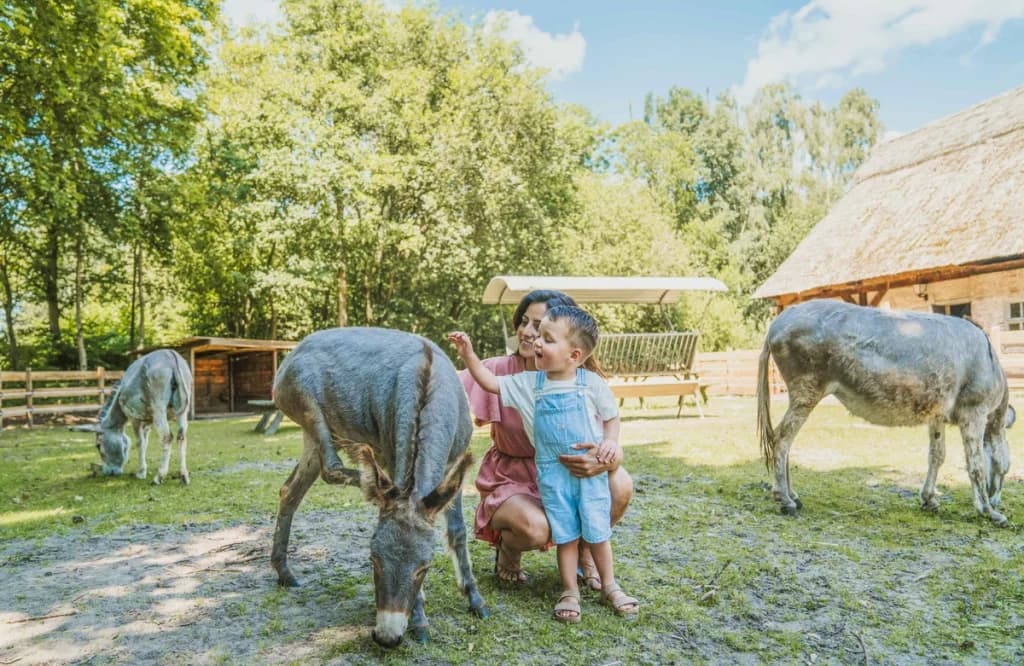 kamperen met zwemvijver