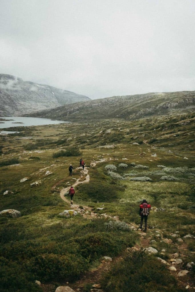 Vier wandelaars lopen over een kronkelend pad door een uitgestrekt, groen berglandschap in Noorwegen, met rotsen, struiken en een meer in de verte onder een bewolkte hemel - perfect voor wandelavonturen.