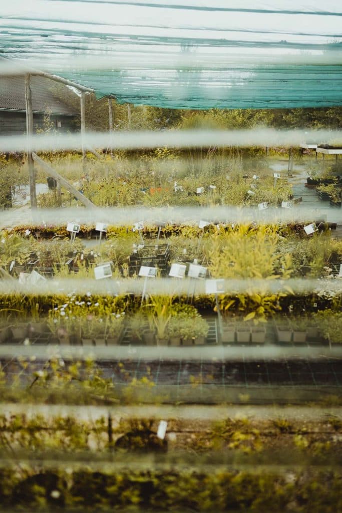 bezienswaardigheden en leuke dingen om te doen in nederland en flevoland