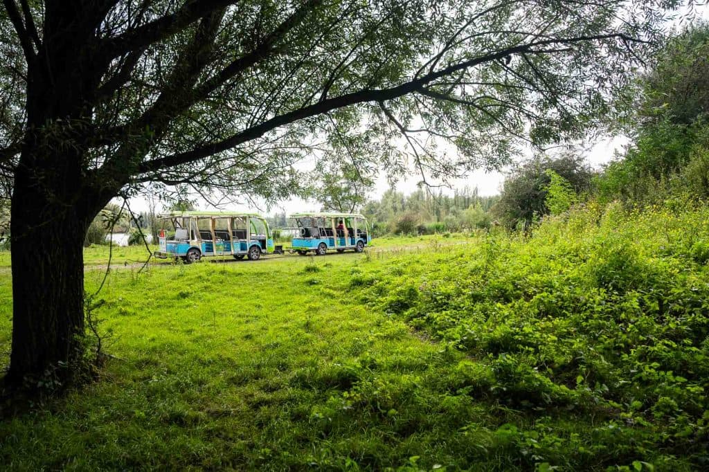 bezienswaardigheden en leuke dingen om te doen in nederland en flevoland