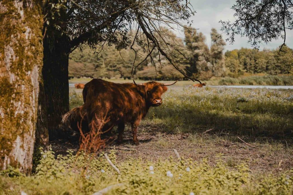 bezienswaardigheden en leuke dingen om te doen in nederland en flevoland