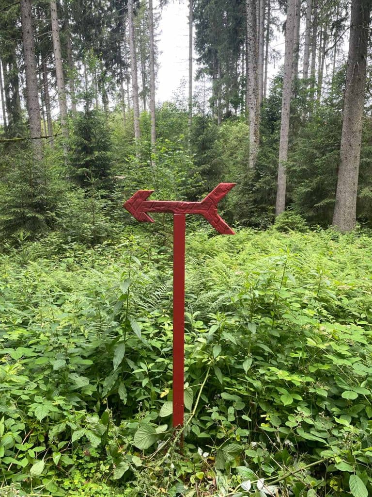 Een rood metalen pijl op een paal wijst naar links, te midden van dichte groene vegetatie en hoge bomen - een uitnodigend tafereel voor iedereen die in Zwarte Woud wandelt en de weelderige bossen van Duitsland verkent.