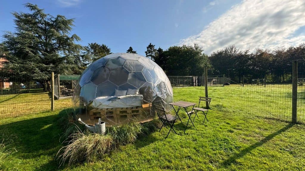 sterrenwachter kamperen in vlaanderen