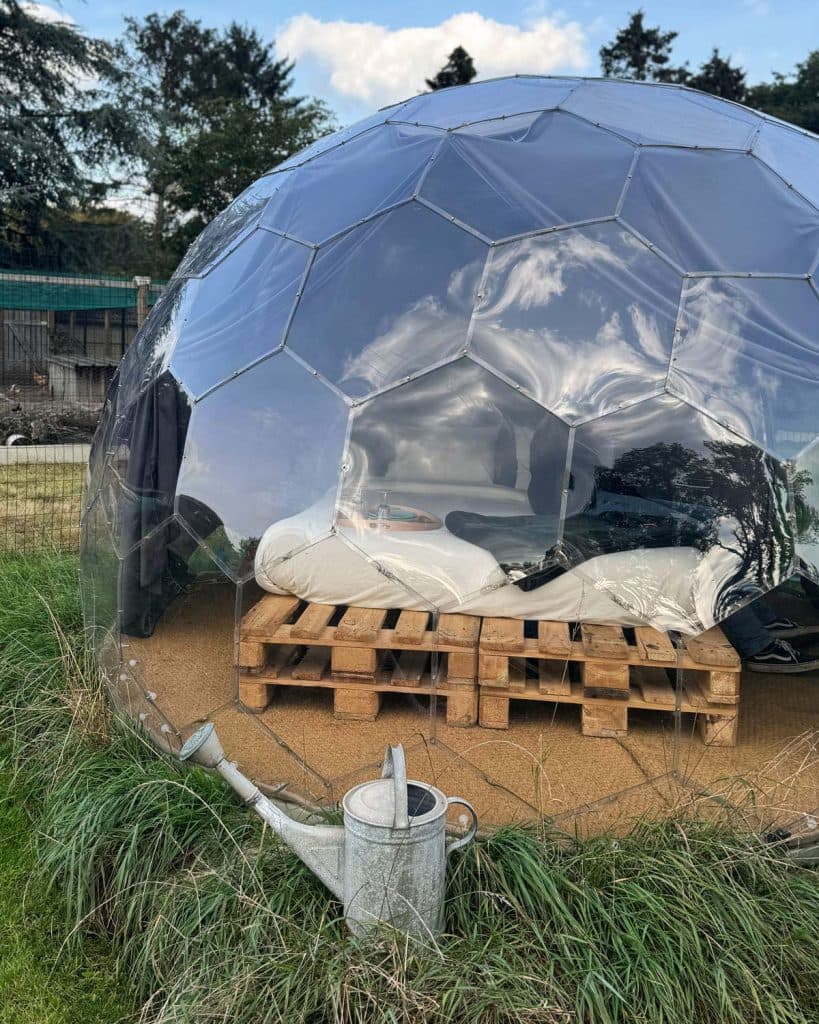 de sterrenwachters slapen in een bubbel