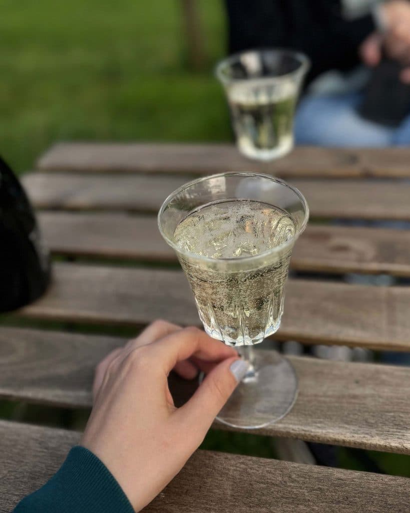 slapen in bubbel: de sterrenwachters