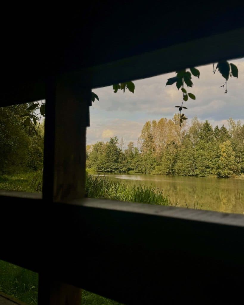 wandelen in natuurdomein de roost