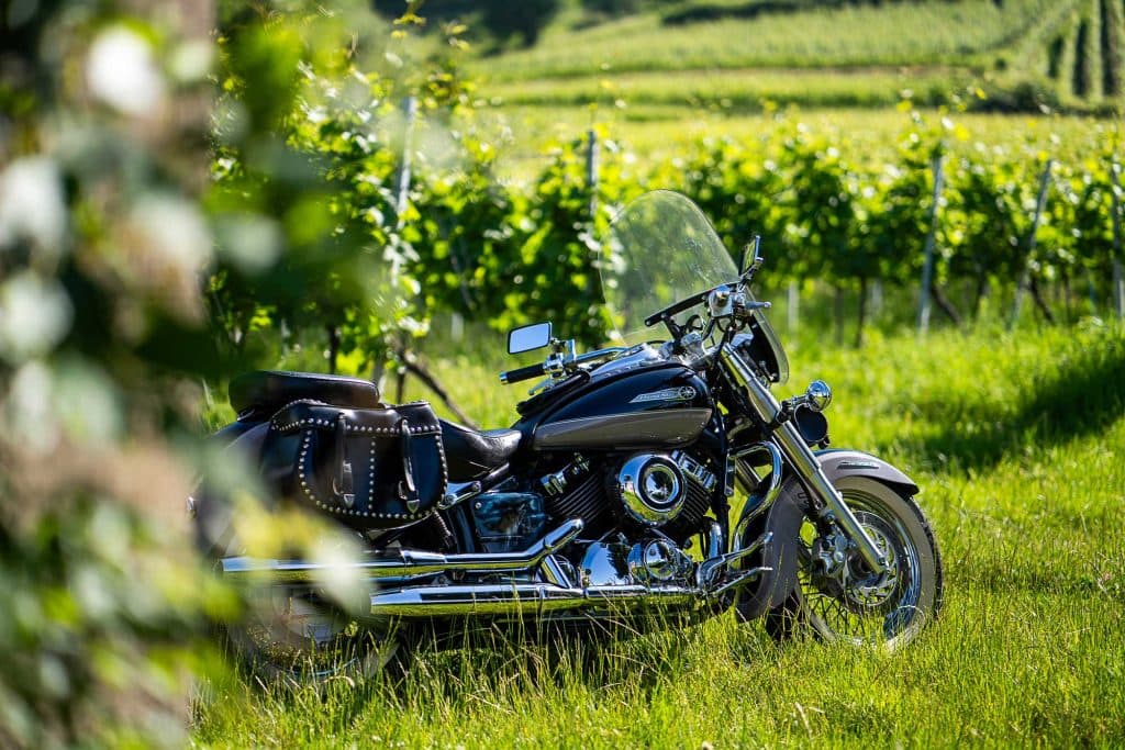 wijnvakantie duitsland baden wurttemberg