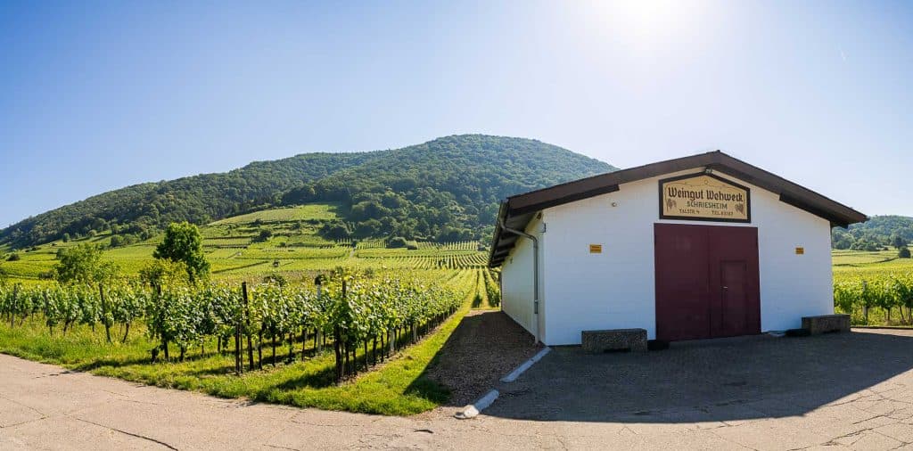 wijnvakantie duitsland baden wurttemberg