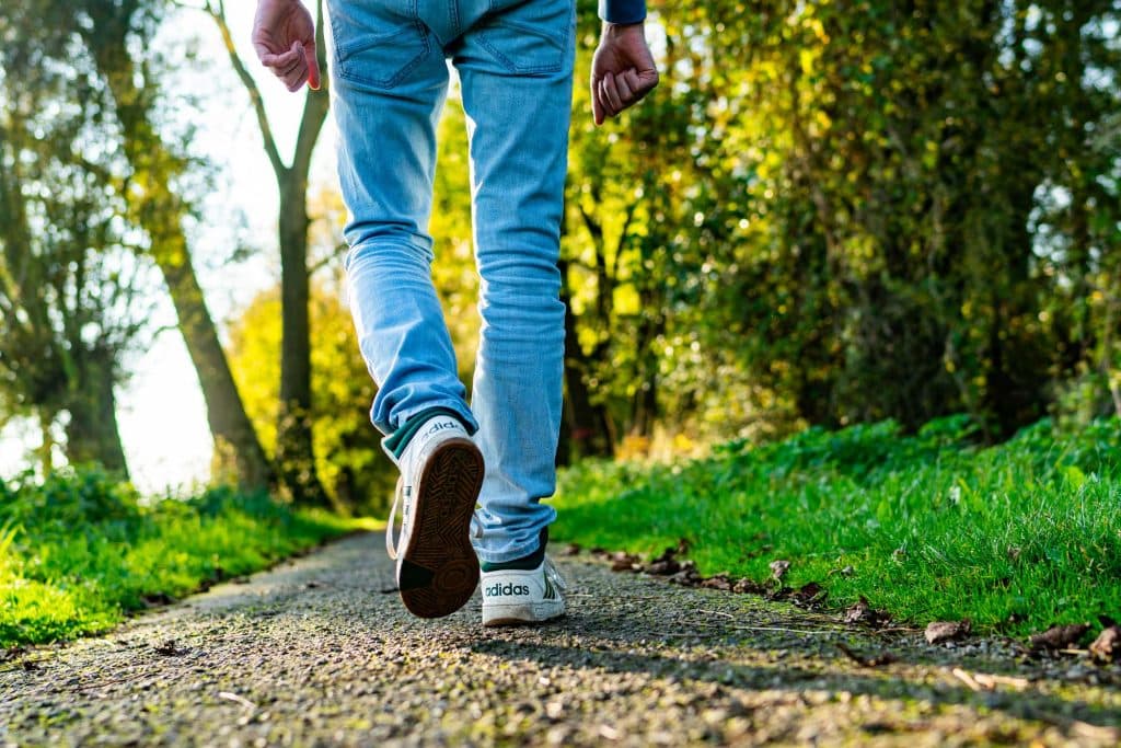 wandelen sallandse heuvelrug in overijssel nederland slowcation