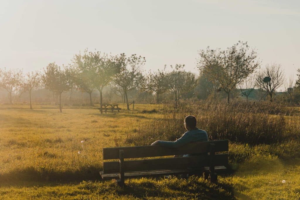 wandelen in overijssel