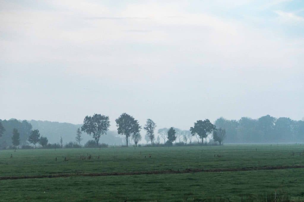 wandelen sallandse heuvelrug in overijssel nederland slowcation
