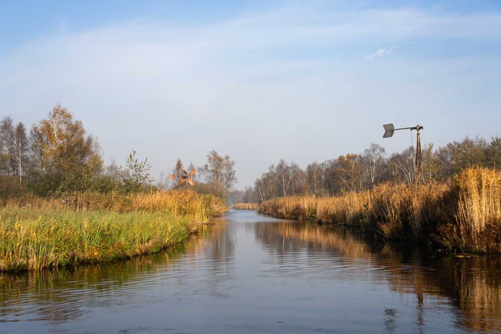 weerribben-wieden natuurpark fluisterbootje