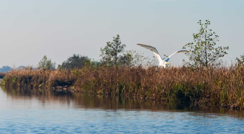 een bootje huren weerribben-wieden natuurpark de klashorst