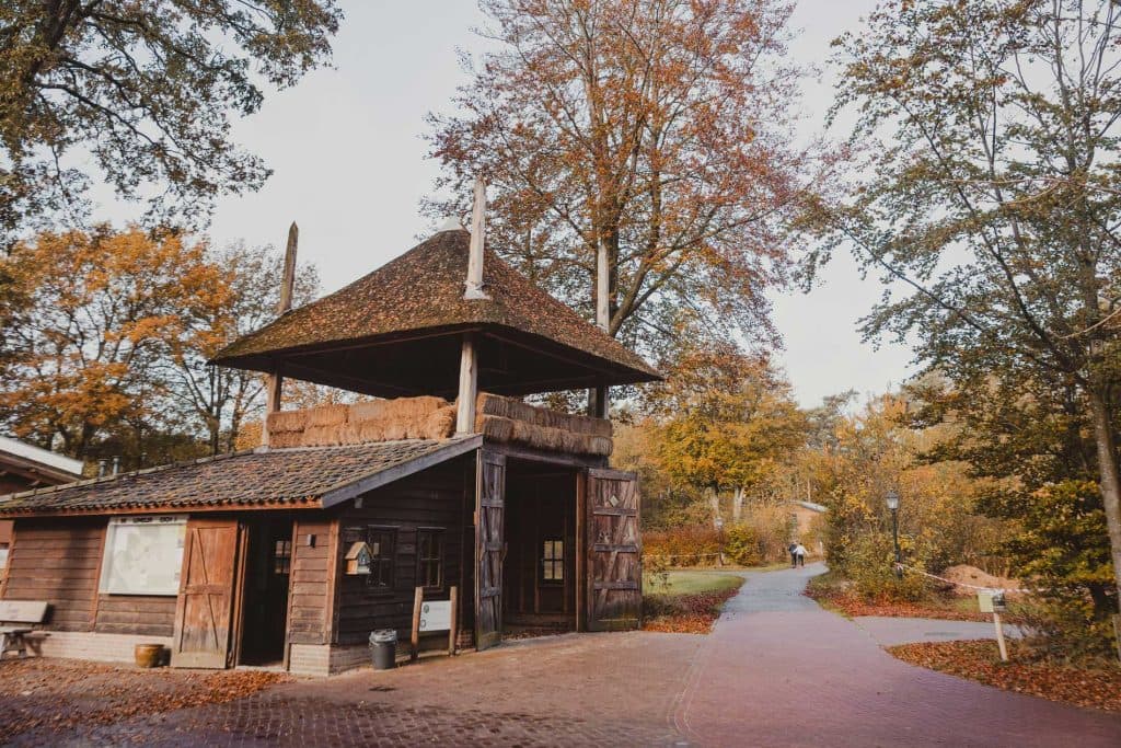 wandelen sallandse heuvelrug in overijssel nederland slowcation