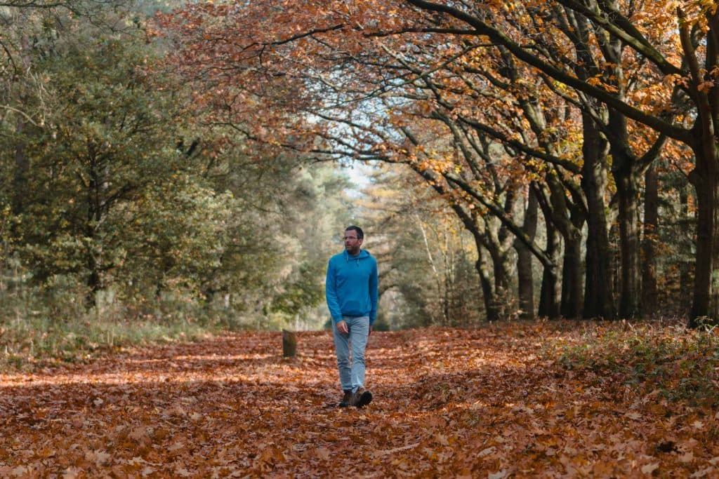 wandelen in de sallandse heuvelrug