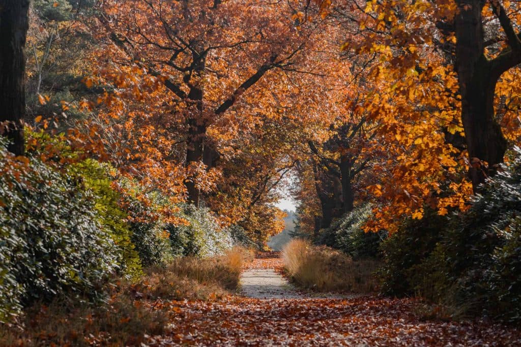 wandelen duursche waarden